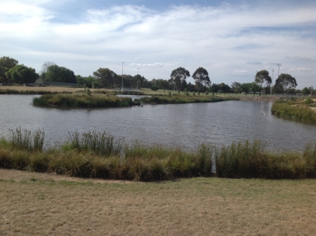 First Actions to Improve Water Quality in Lake Tuggeranong