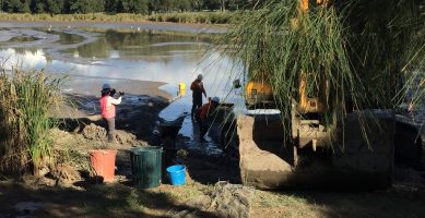 Lowering of Tuggeranong Pond (next to South Quay)