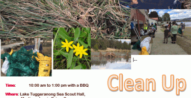 Tuggeranong Lake Carers Cleanup – 4 March 2018