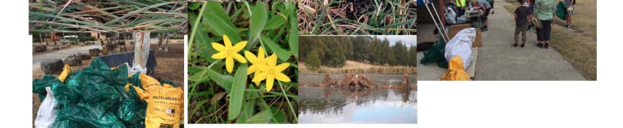 Tuggeranong Lake Carers Cleanup – Sunday 3rd March 2019